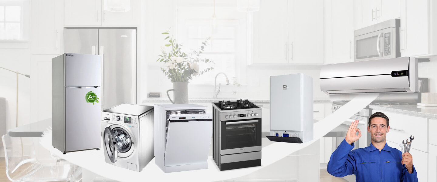 Arpaçay Electrolux Servisi